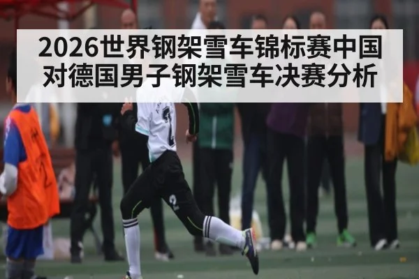 2026世界钢架雪车锦标赛中国对德国男子钢架雪车决赛分析